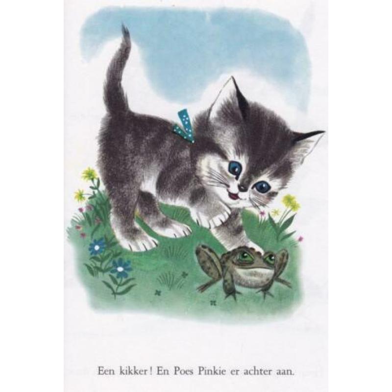 Poes Pinkie (Gouden boekje 2003)