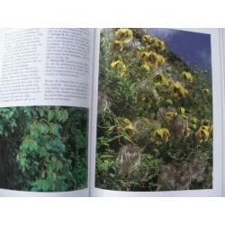 KLIMPLANTEN, Jane Taylor, groenboekerij