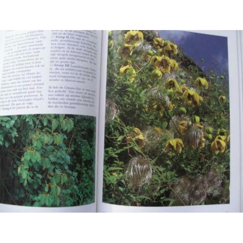 KLIMPLANTEN, Jane Taylor, groenboekerij