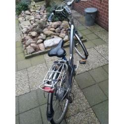 electrishe fiets