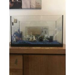 Complete aquarium 60x38x30