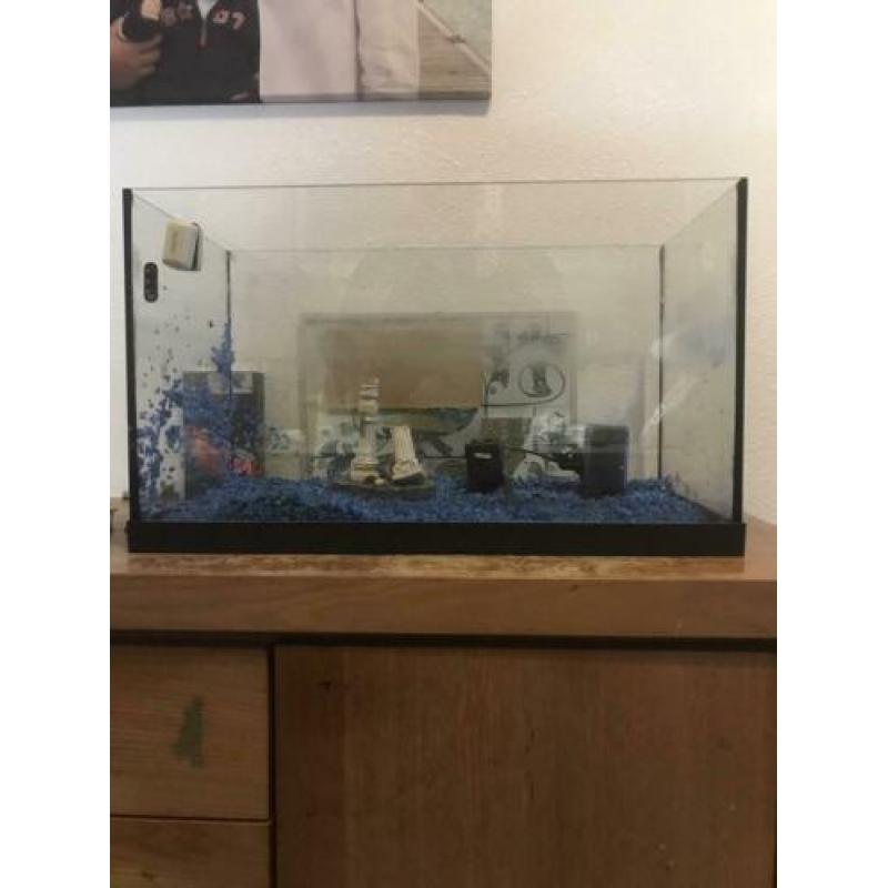 Complete aquarium 60x38x30