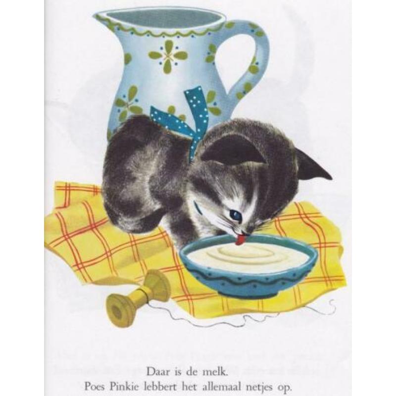 Poes Pinkie (Gouden boekje 2003)