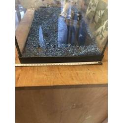 Complete aquarium 60x38x30