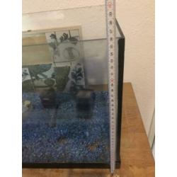 Complete aquarium 60x38x30