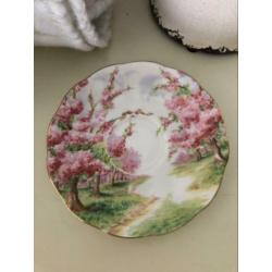Prachtige kop en schotel Blossom Time Royal Albert