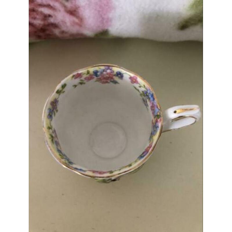 Prachtige kop en schotel Blossom Time Royal Albert