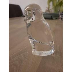 Uil van dik glas