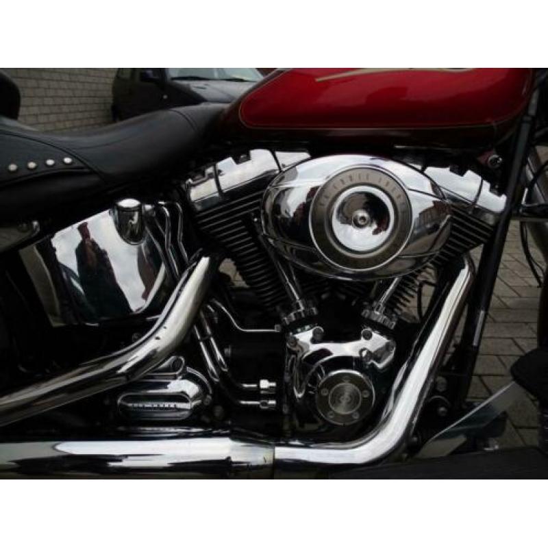Harley Davidson Chopper