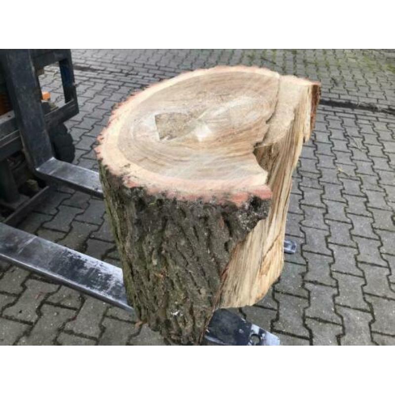 Stuk Nederlands eikenhout