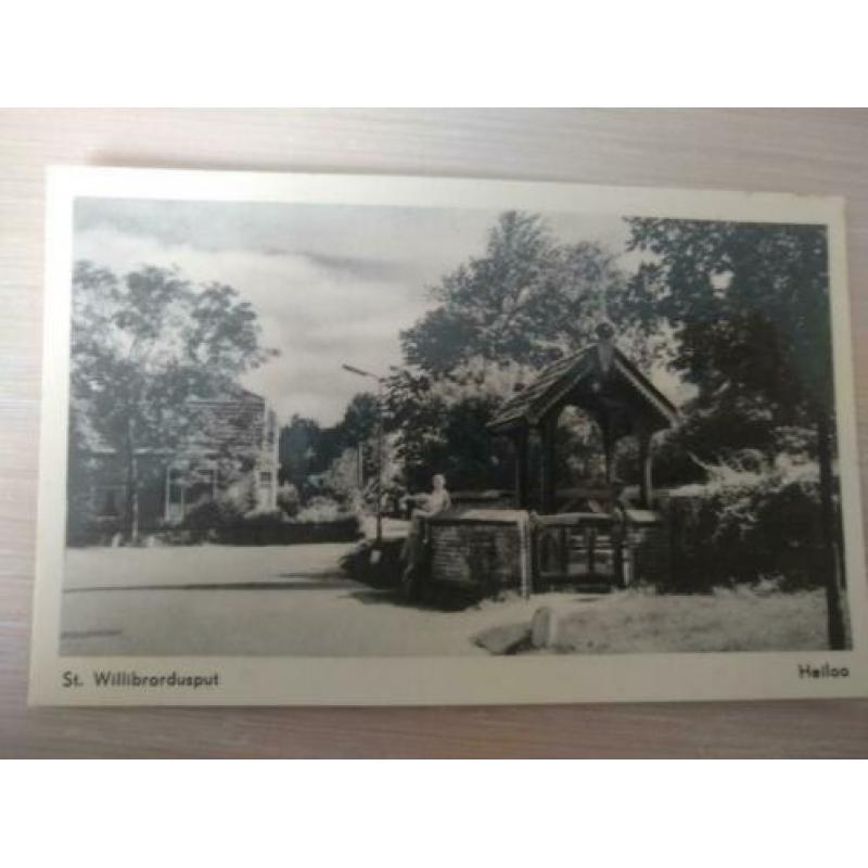 Ansichtkaart Heiloo, diverse St. Willebrordusput