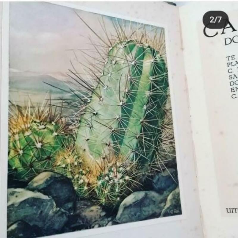 Verkade cactussen boek vintage snailmail journal compleet