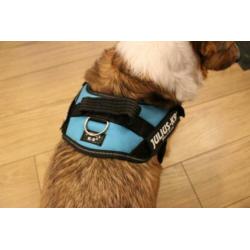 JULIUS-K9 IDC®-Powertuigje - Aquamarine, maat Mini