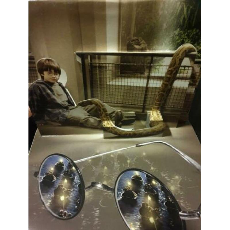Harry Potter pop-up boek
