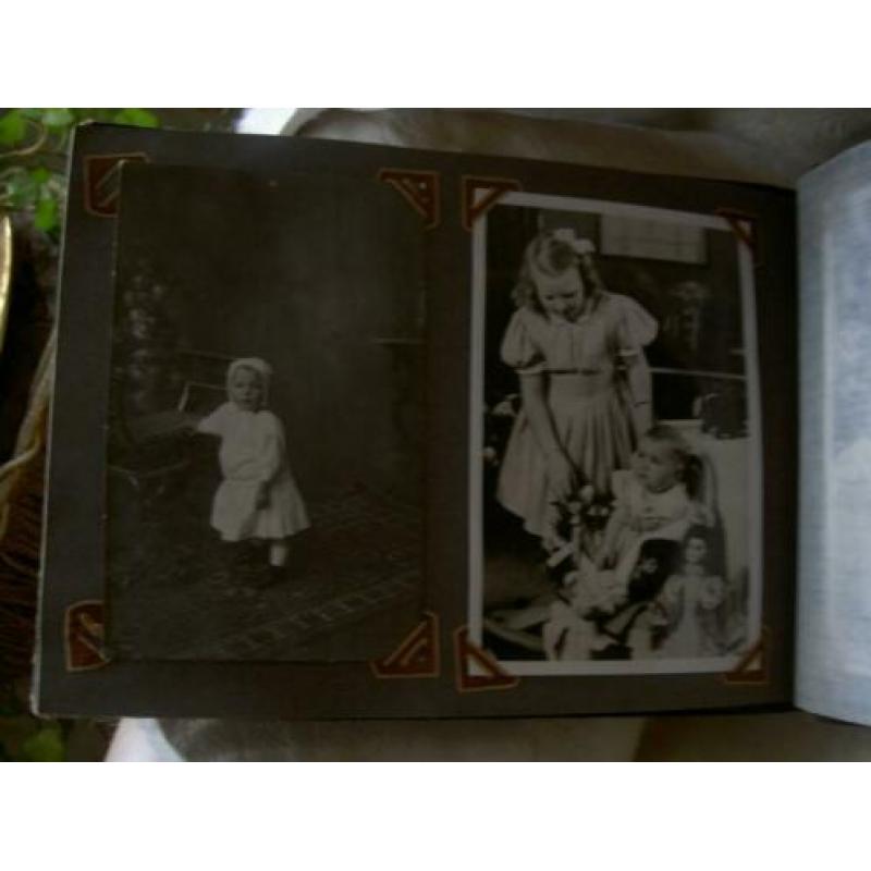 Album Koninklijke Familie
