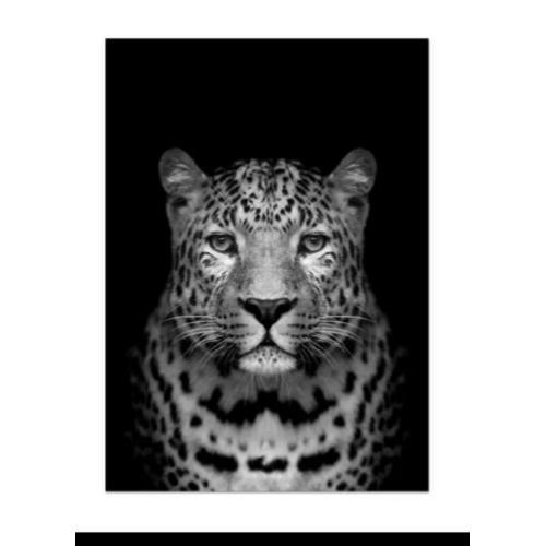 diamond painting tijger NIEUW