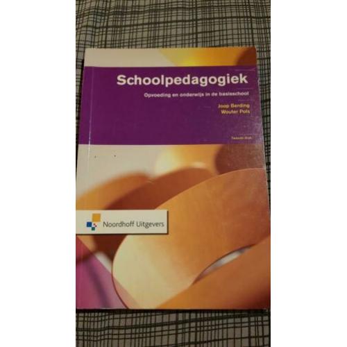 Schoolpedagogiek