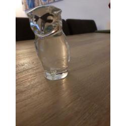Uil van dik glas