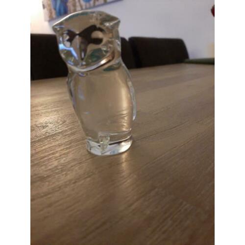 Uil van dik glas