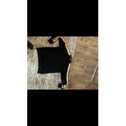 Sandro paris geen moncler stone island dsquared valentino m