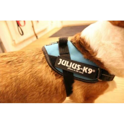 JULIUS-K9 IDC®-Powertuigje - Aquamarine, maat Mini