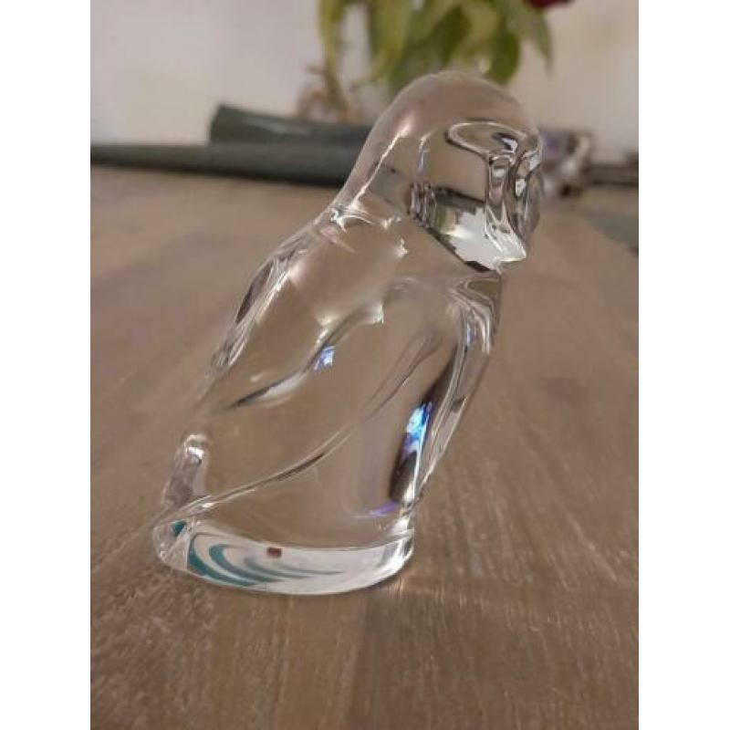 Uil van dik glas