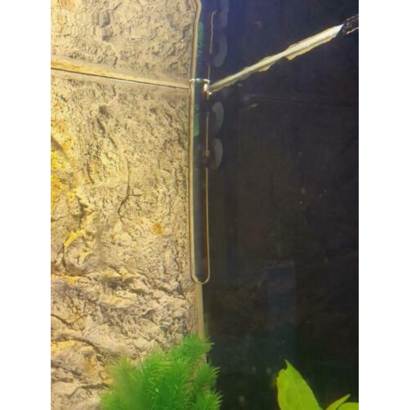 Juwel Aquarium 200