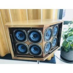 Bose 901 Continental Speakers + Equalizer GEREVISEERD