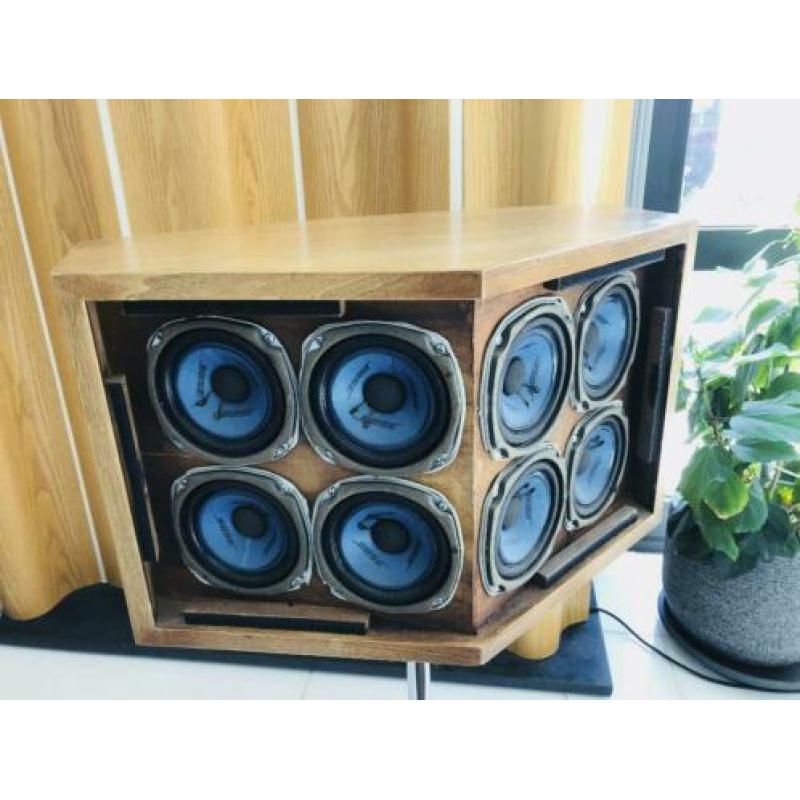 Bose 901 Continental Speakers + Equalizer GEREVISEERD