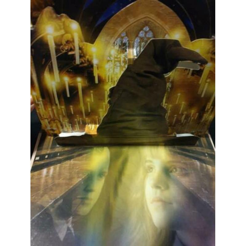Harry Potter pop-up boek