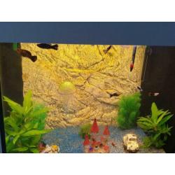 Juwel Aquarium 200