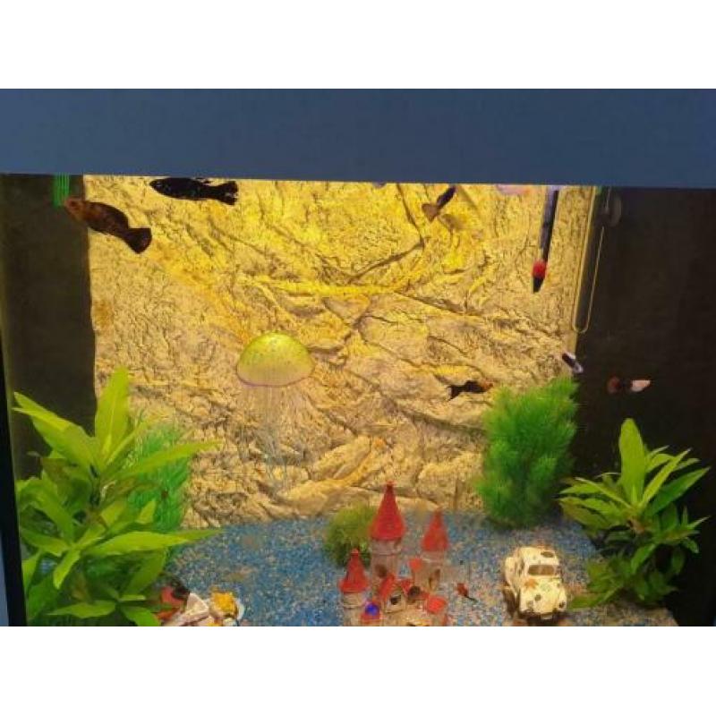 Juwel Aquarium 200