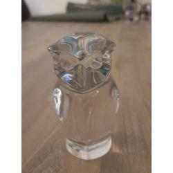 Uil van dik glas