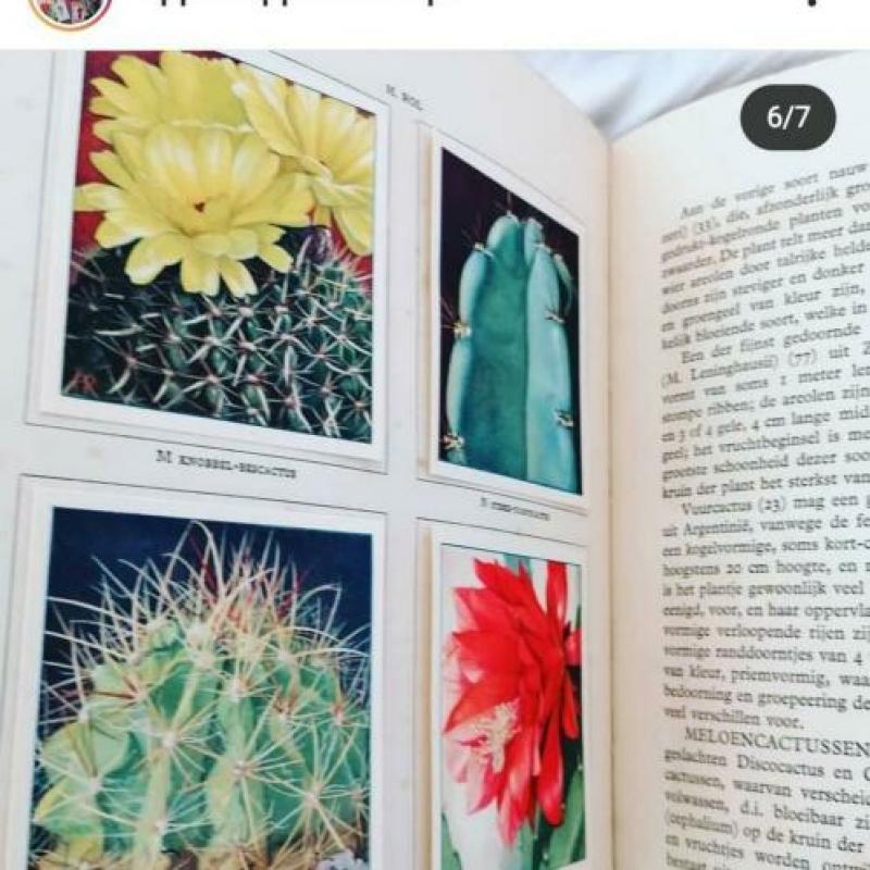 Verkade cactussen boek vintage snailmail journal compleet