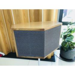 Bose 901 Continental Speakers + Equalizer GEREVISEERD
