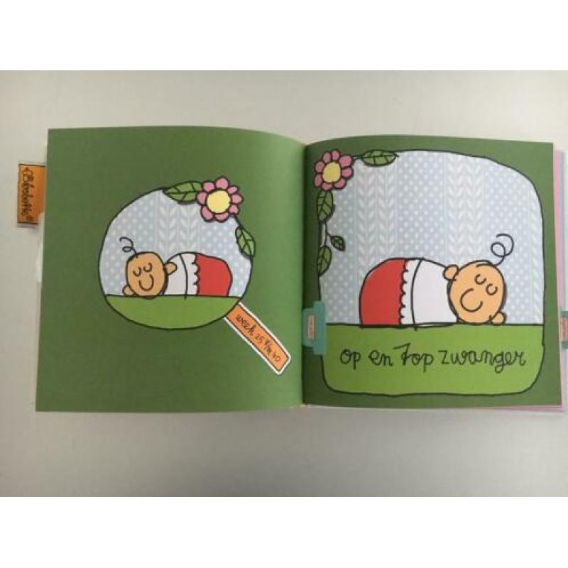 Mijn negen maanden Boek Babette Harms