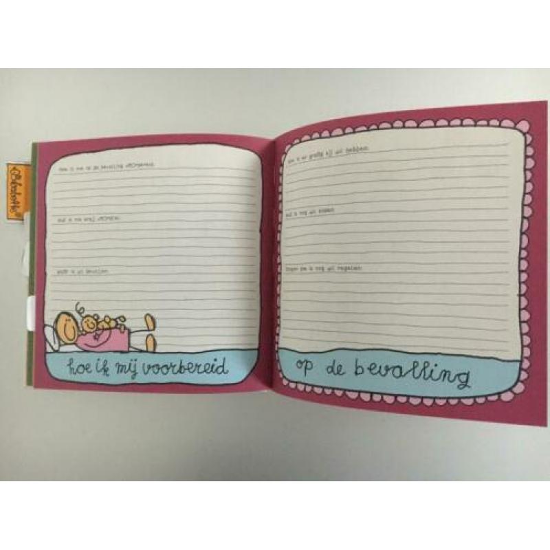 Mijn negen maanden Boek Babette Harms