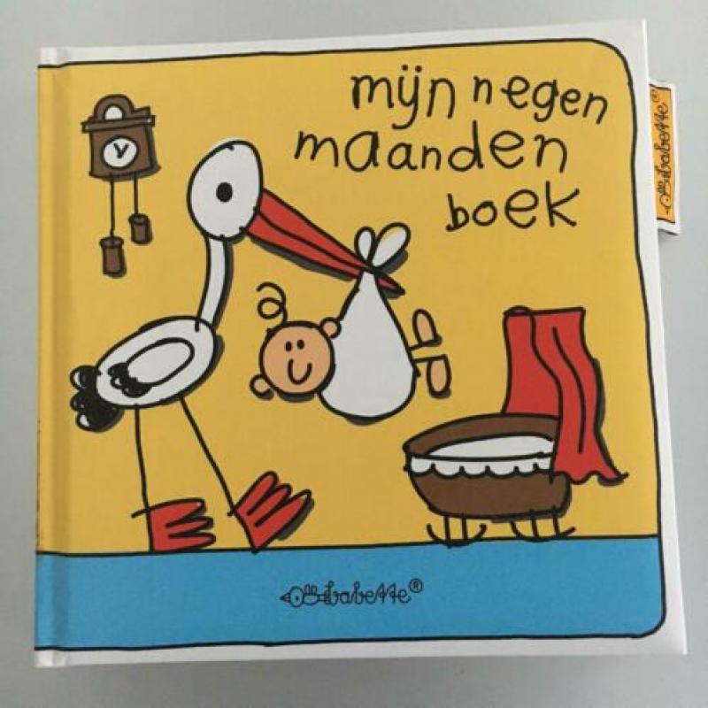 Mijn negen maanden Boek Babette Harms