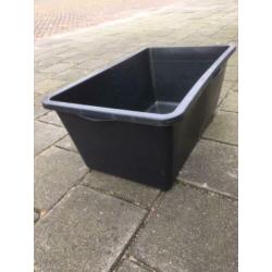 kuip