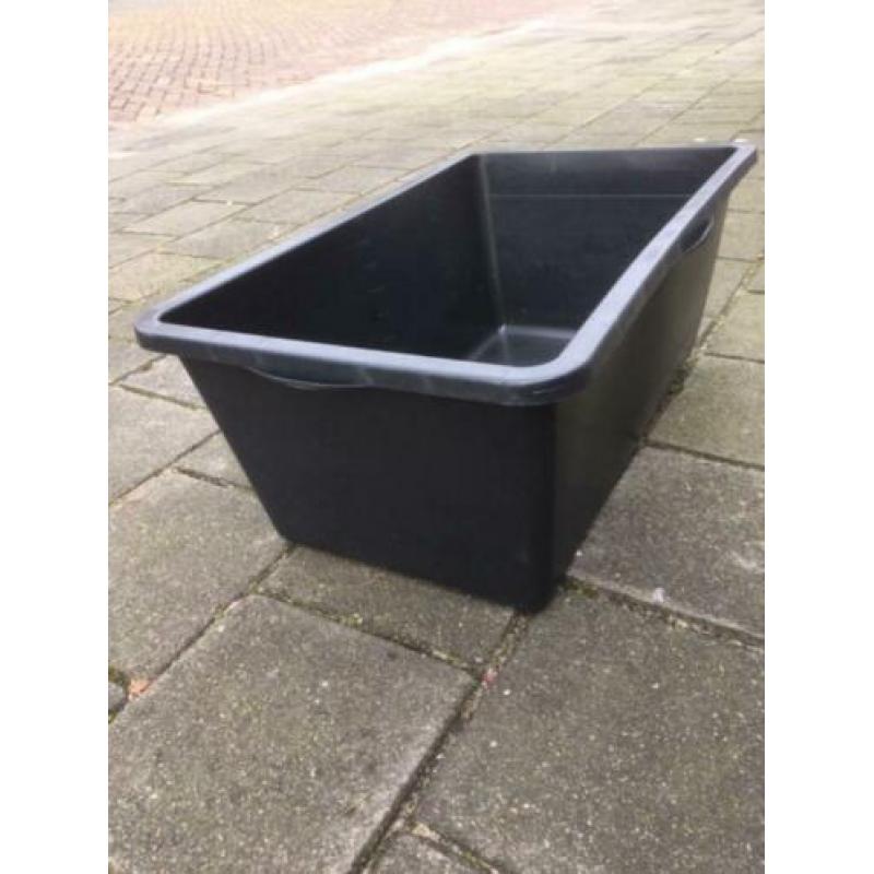 kuip