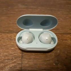 Samsung earbuds wit