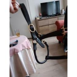 Paarden spullen te koop