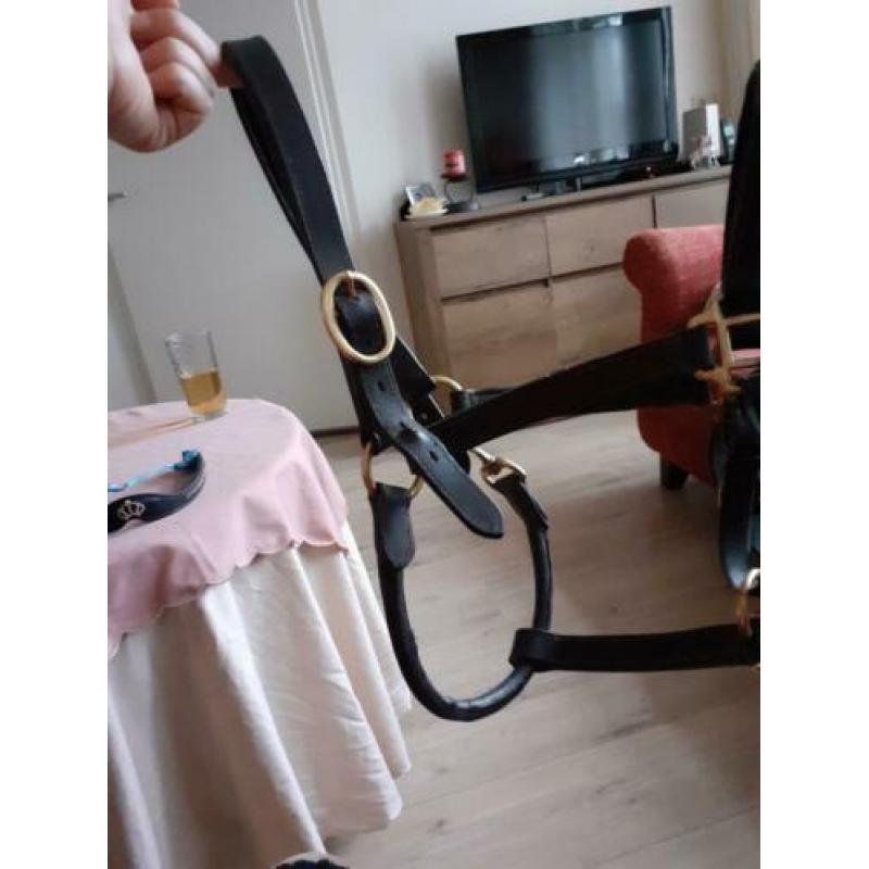 Paarden spullen te koop