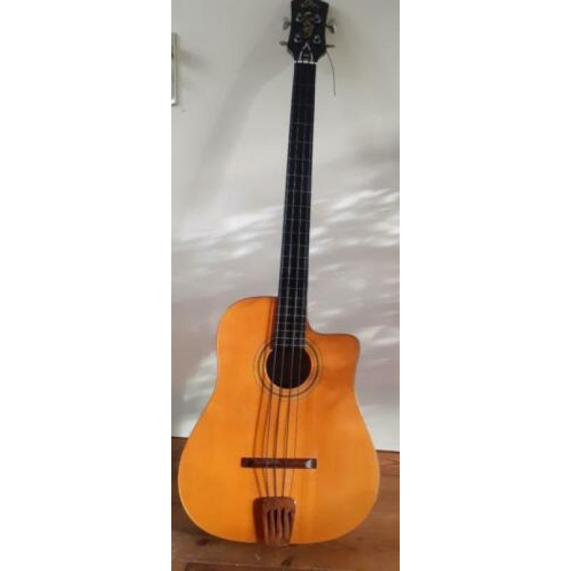 Eko vintage akoestische basgitaar incl. flightcase