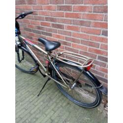 batavus