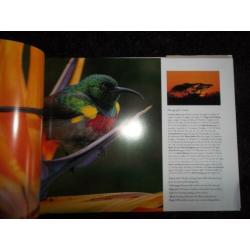 Science South Africa