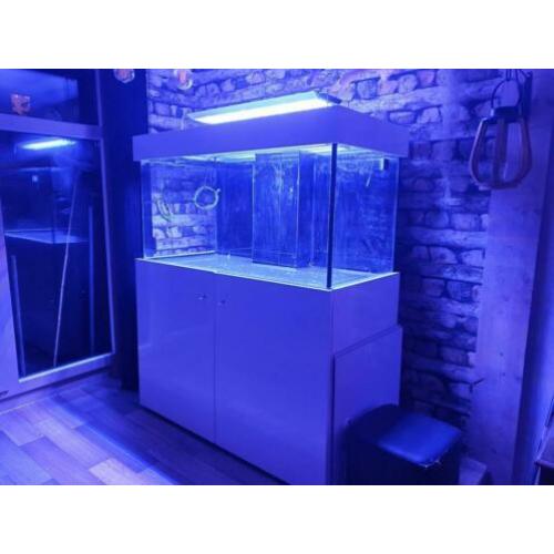Mooi, ruim leegstaand aquarium uit 2018