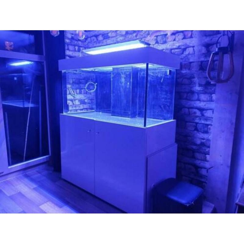 Mooi, ruim leegstaand aquarium uit 2018