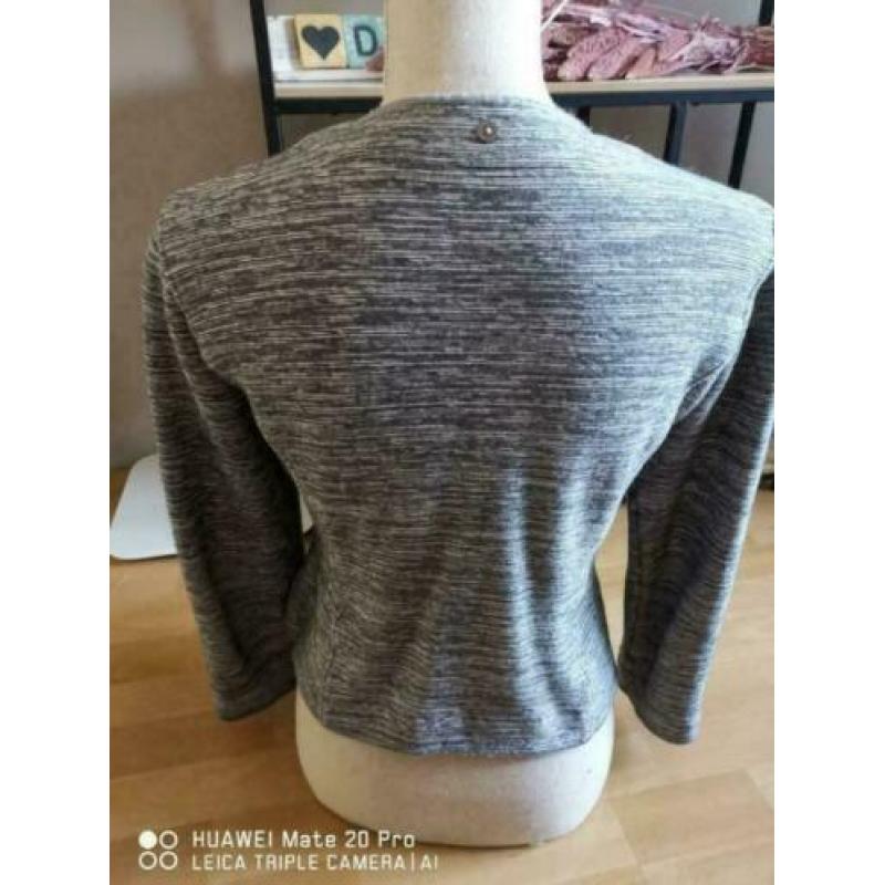 Penny Black ( Max Mara) mooi grijs gemeleerd jasje mt 38