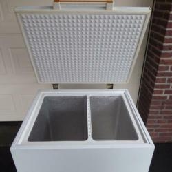 Diepvrieskist | Frigor | 170 L | lichte gebruiksporen!